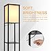 SHINE HAI Shelf Floor Lamp for Living Rooms,Bedrooms, Modern Standing Light with Asian Wood Frame Design, Open Box Display Shelves - Black