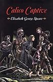 Calico Captive