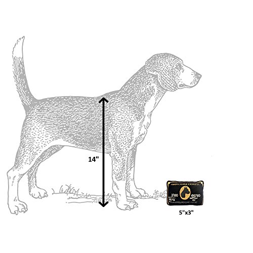 Dog Diggin Designs Squeaky Plush Toys - Credit Cards (Americanine Express Bark Card)