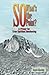 So What's The Point?: A Primer for True Spiritual Awakening by Bob Lively