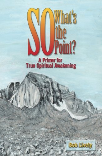 So What's The Point?: A Primer for True Spiritual Awakening by Bob Lively