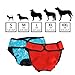 BWOGUE Premium Dog Diapers Female (Pack of 2) with Velcro Washable Reusable Sanitary Panties for Small to Large Dogs