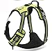 Chai's Choice Best Outdoor Adventure Dog Harness (Large, Green)