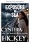 Livro Exposição no mar (Vencendo o mal Livro 4)