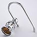Kabter Brass Toilet Paper Holder Wall Hooks,Chrome