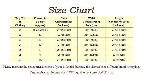 Dressy Daisy Girls' Princess Rapunzel Dress up Fairy Tales Costume Cosplay Party Size 4T