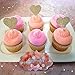 Love2bake Cupcake Decorating Tip Set, Classic Stainless Steel Decorating Tips, Closed Star, Open Star, French, Round/Plain, X-Large