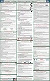 2017 (SPANISH) Louisiana State and Federal Labor Law Poster - Laminated 24