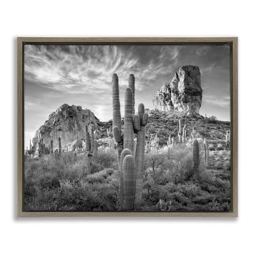 Stupell Industries 'Looming Cacti & Canyon View'| Floating Frame Canvas Art
