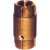 Simmons Mfg. 542SB Double Tapped Check Valve