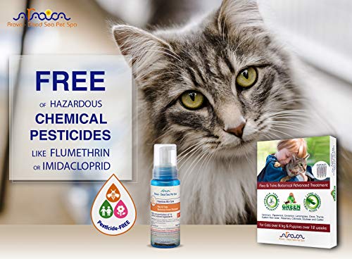 Arava Flea & Tick Prevention for Cats - 4-Doses – Puppy & Cat Flea Treatment - Botanical Flea & Tick Control Drops Repel Pests with Natural Oils – 100% Safe for Pets - Enhanced Defense & Prevention - Thumbnail 3