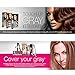 Cover Your Gray for Men Hair Color Touch-up Stick - Black