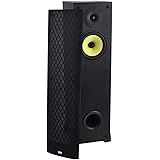 dcm floor speakers
