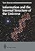 Information and the Internal Structure of the Universe: An Exploration Into Information Physics by Tom Stonier, T Stonier