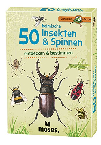moses. Expedition Natur - 50 heimische Insekten und Spinnen| Bestimmungskarten im Set | Mit spannenden Quizfragen
