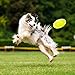 LaRoo Dog Disc Indestructible Dog Flying Disc Dog Toys Flyer Small, Medium Large Dogs