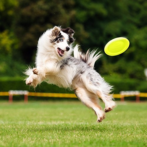 LaRoo Dog Frisbee Indestructible Dog Flying Disc Dog Toys Frisbee for