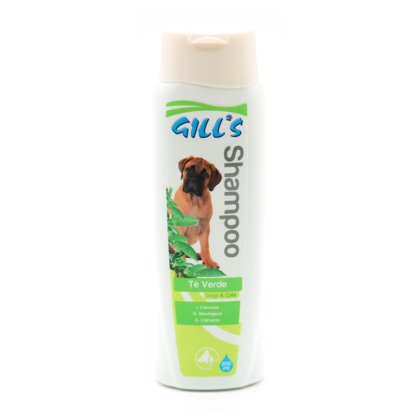 CROCI Gill's Green Tea Shampoo, 200 ml