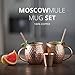 Moscow Mule Copper Mugs - Gift Set of 2 Pure Copper Cups With BONUS Shot Glass and Straws