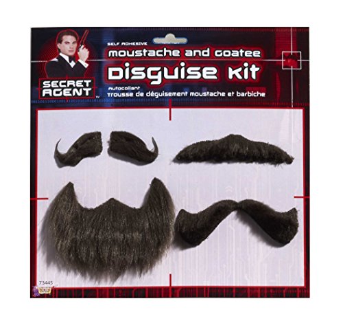 DISGUISE SET-MOUSTACHE/GOATEE