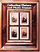 Collecting Picture and Photo Frames (A Schiffer Book for Collectors)