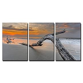 Beach in Hilton Head Island Wall Decor x3 Panels