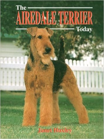 airedale terrier police dog