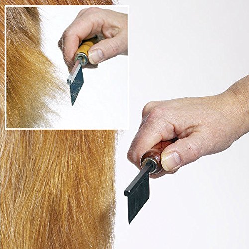 Best Brush for Pomeranian and Pomeranian Grooming Tools