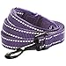 Blueberry Pet Essentials Durable 3M Reflective Classic Dog Leash 5 ft x 5/8