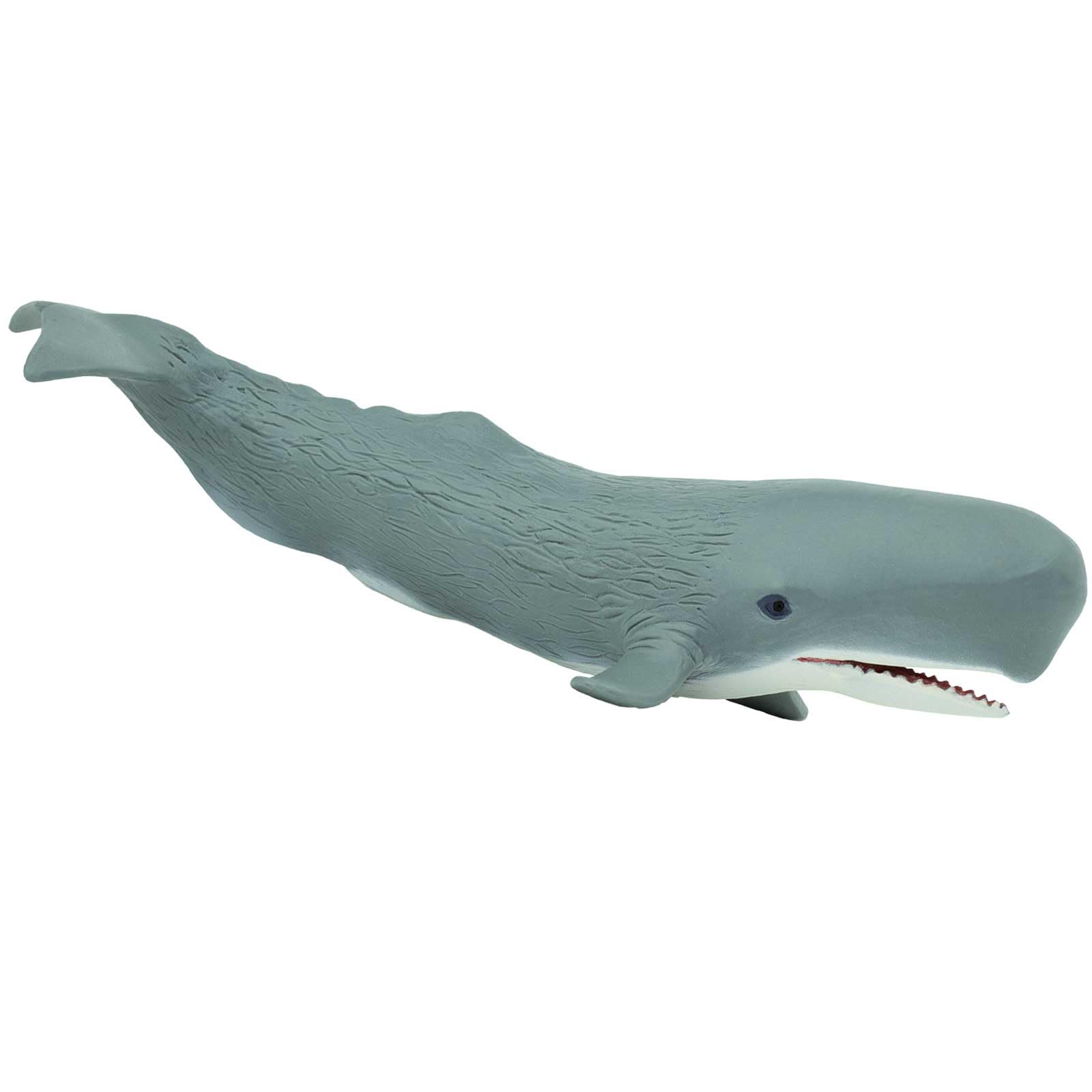 Toob S275529 Sperm Whale Adult - Multi-Colour