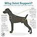 Vets Preferred Glucosamine Joint Support for Dogs - Hip and Joint Supplement for Dogs with Chondroitin, and MSM. Maximum Strength for Dog Hip and Joint Relief, (Puppy Formula)
