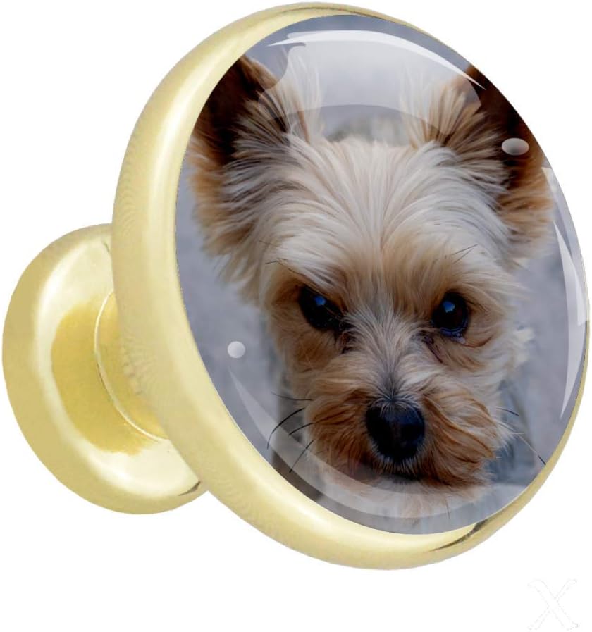 Haustier Hund Gold Metall Küche Schublade Schrank Knöpfe Türgriff Möbel