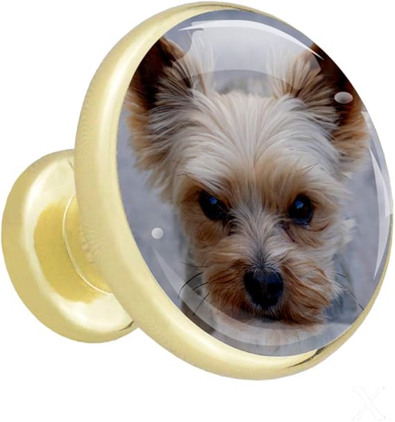 Haustier Hund Gold Metall Küche Schublade Schrank Knöpfe Türgriff Möbel