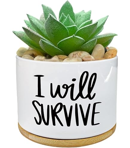 Amazon.com : WHING I Wet My Plants - White Ceramic Engraved Mini