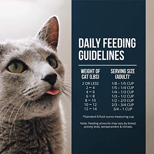 Fussie Cat Market Fresh Salmon Meal Formula GrainFree Dry Cat Food 10lb Pricepulse