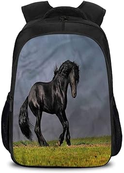 Fresion backpack Clearance