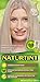 Naturtint 10A Light Ash Blonde Permanent Hair Color (Pack of 6), Ammonia Free, Vegan, Cruelty Free, up to 100% Gray Coverage, Long Lasting Results (Packaging may vary)