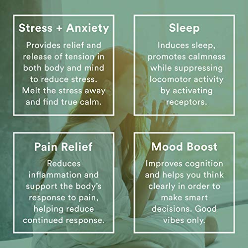 Flyby (2-Pack) Pure Hemp Oil Extract for Pain & Stress Relief - 29000mg of Organic Hemp Extract - Grown & Made in USA - 100% Natural Tincture Hemp Drops for Humans & Dogs - Helps Sleep, Skin & Hair