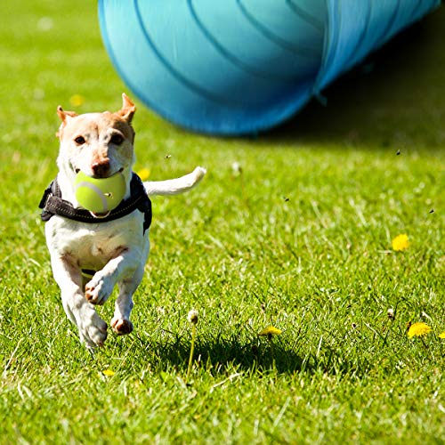 Sowsun Dog Agility Training Equipment, Dog Obstacle Course Includes Dog