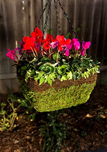 Super Moss 7 59834 29327 9 MossWeave Hanging Basket, Set of 3 (S/M/L), Fresh Green - Thumbnail 2