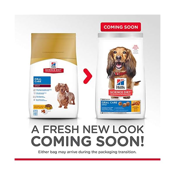 science diet oral care 12kg