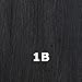 ISIS BROWN SUGAR Human Blended Full Wig - BS120 (1B - OFF BLACK)