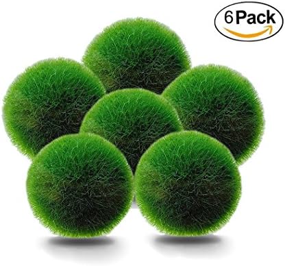Zoizlla Marimo Moss Ball - Small Live Marimo Aquarium Plants Moss Ball Terrarium Decorations Plants Live Plants Aquatic Ecosystem for Betta Fish,Valentines Day Gifts (Diameter:0.4"/1cm)(6 Pack)