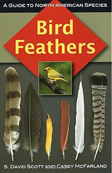 Bird Feathers A Guide To North American Species Scott S David Mcfarland Casey Amazon Com Books