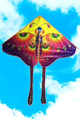 Kufox-kite Colored Butterfly Pattern Flyer Kite,Medium Size 47