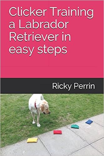 clicker training steps