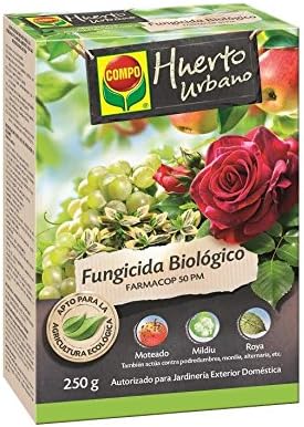 Fungicida Oxicloruro de cobre Compo 250 g: Amazon.es: Jardín