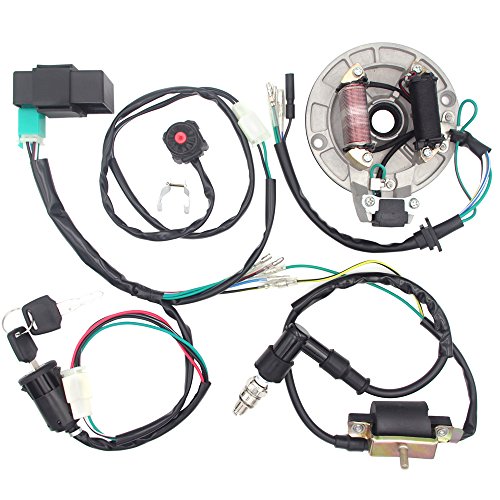 Royitay Kick Start Dirt Pit Bike Wire Harness Wiring Loom CDI Ignition