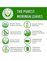 Barra nutritiva Moringa Super Fodd de Kuli Kuli, 12 unidades