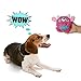 NEILDEN Dog Toy Plush Chew Toys Non-Toxic Squeaky Floating Small and Large Balls Bouncer Dog Toys for Exercise